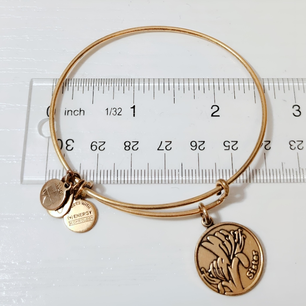 💎 2/$15 Alex and Ani 2014 Gold tone SISTER bracelet - Picture 4 of 6